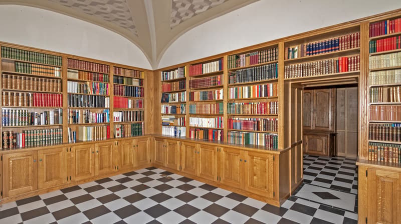 HABITATION DE MAITRE D'EXCEPTION EN PLEIN COEUR DE SIERRE (7)