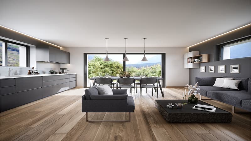 SPLENDIDE APPARTEMENT 4.5 PCES A SALQUENEN (1)