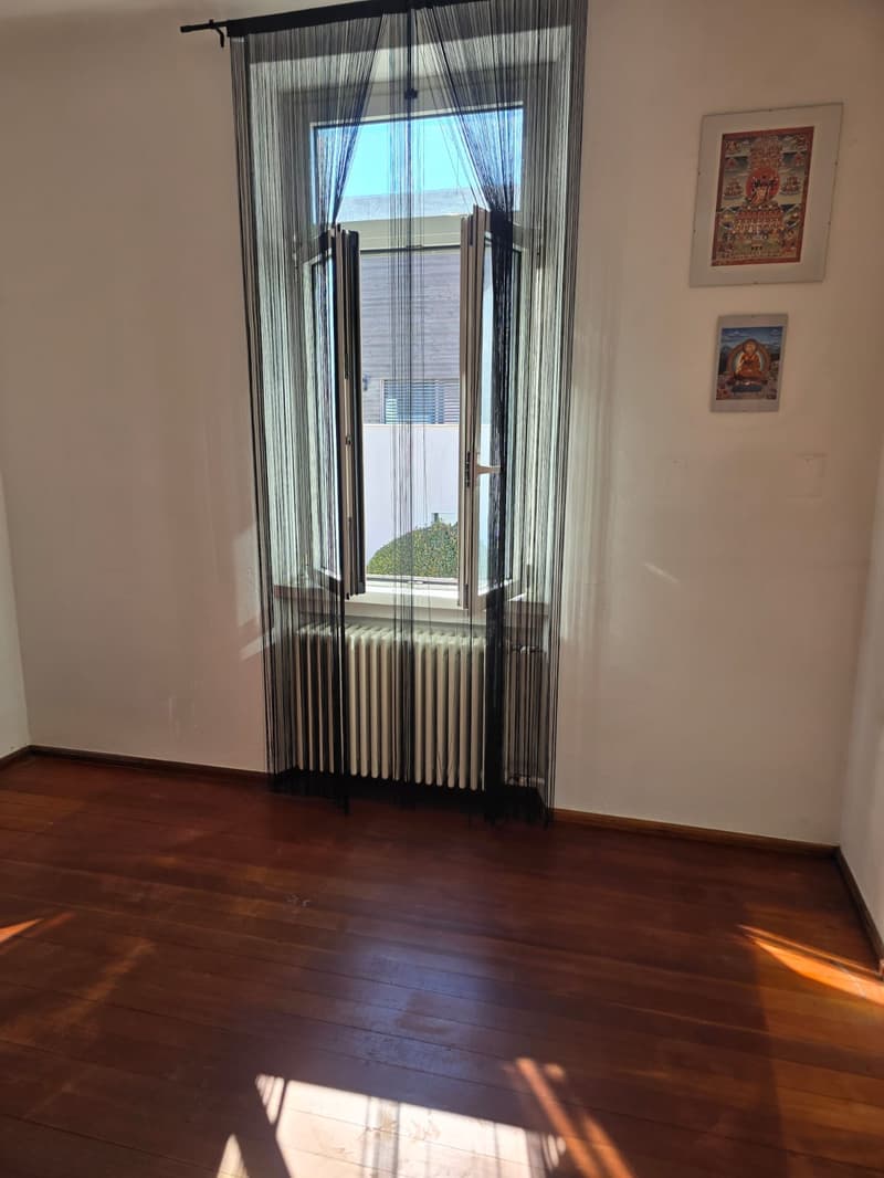 empty room with window with balcony, white wall, wooden floor, white radiator