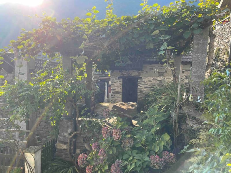 Garden area with stone pathway, entrance, stone wall, green plants, flowers, archway with vine