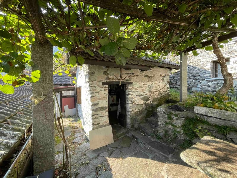 Old house with stone walls, wooden door, stone patio, stone roof, plants
