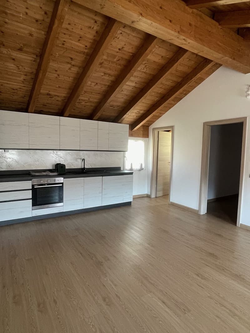 Wohnung 2 1/2 Zimmer neu in Magliaso Ref. 003 (3)