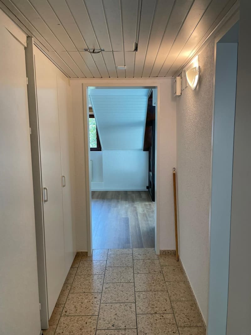 Eingang mit Einbauschrank