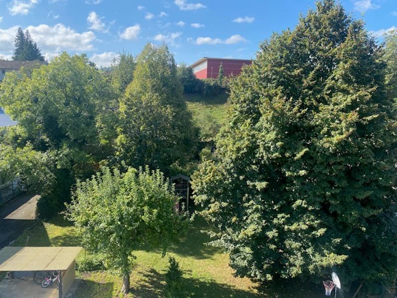 3.5 Zimmerwohnung mit Balkon und Blick auf den Garten (6)