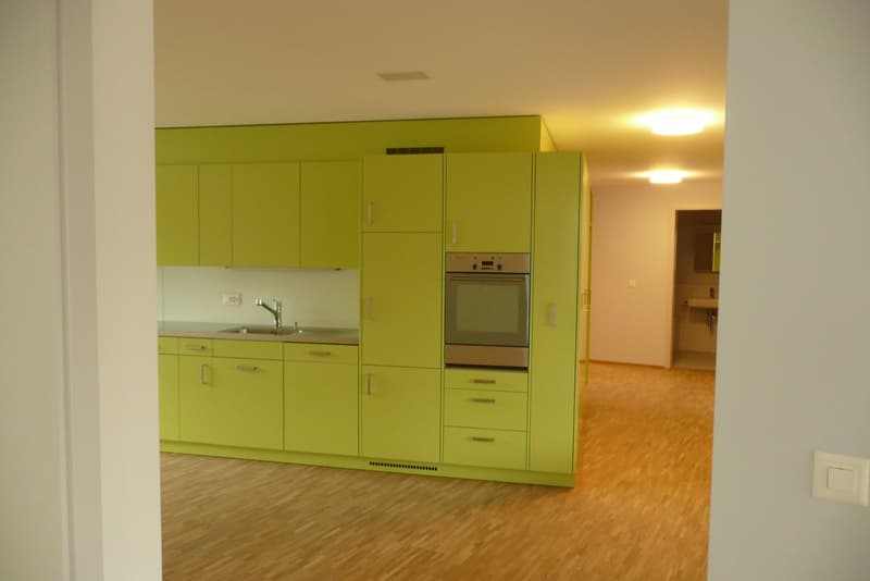 Appartamento moderno di 4,5 locali in affitto (5)