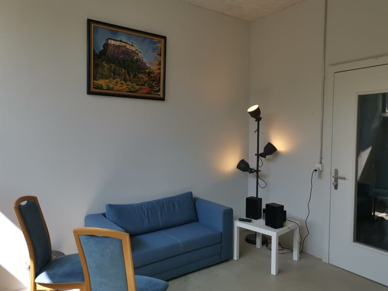 Spacious studio for rent (5)