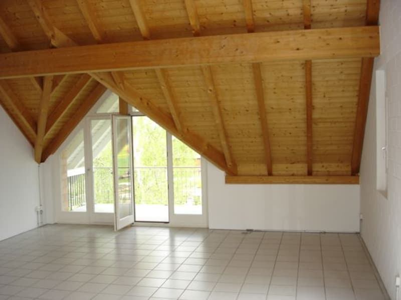 5.5-room apartment with a wonderful view (2)