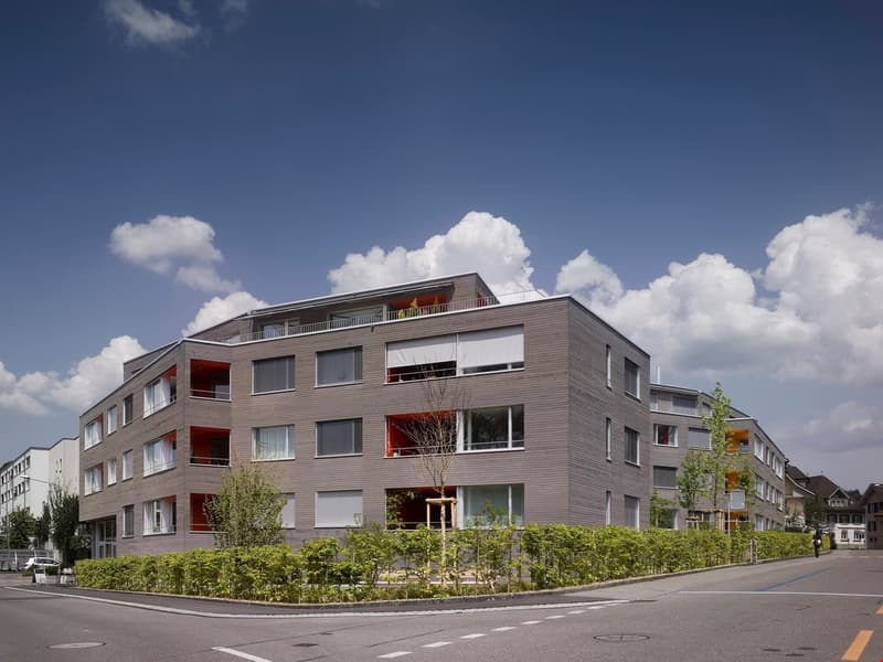 Moderne 4.5-Zimmerwohnung zu vermieten (1)