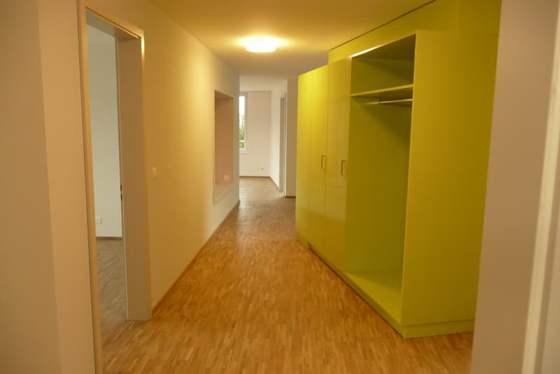 Moderne 4.5-Zimmerwohnung zu vermieten (4)