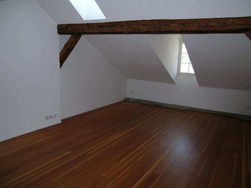 Wohnen in der Berner Altstadt – einzigartige Dachwohnung mit Terrasse (10)