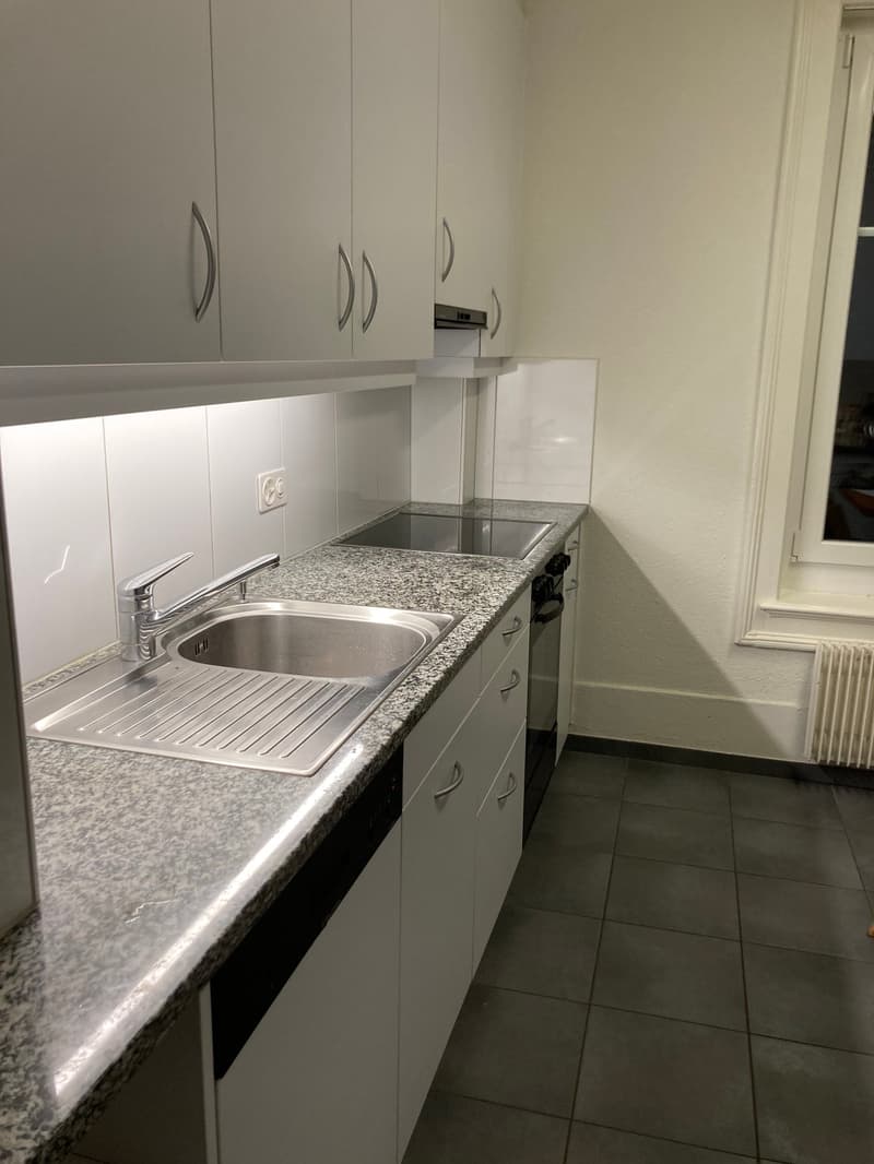 schöne 3-Zimmerwohnung im Erdgeschoss (3)