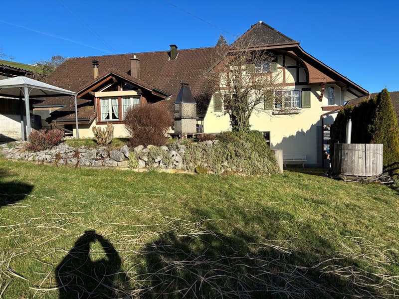 Zweifamilienwohnhaus "Alte Schmitte" in Alchenstorf (3)