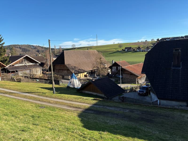Zweifamilienwohnhaus "Alte Schmitte" in Alchenstorf (2)