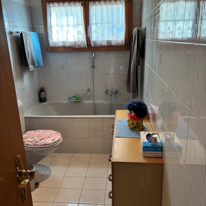 Zweifamilienwohnhaus "Alte Schmitte" in Alchenstorf (6)