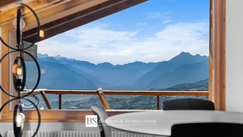 Vue panoramique