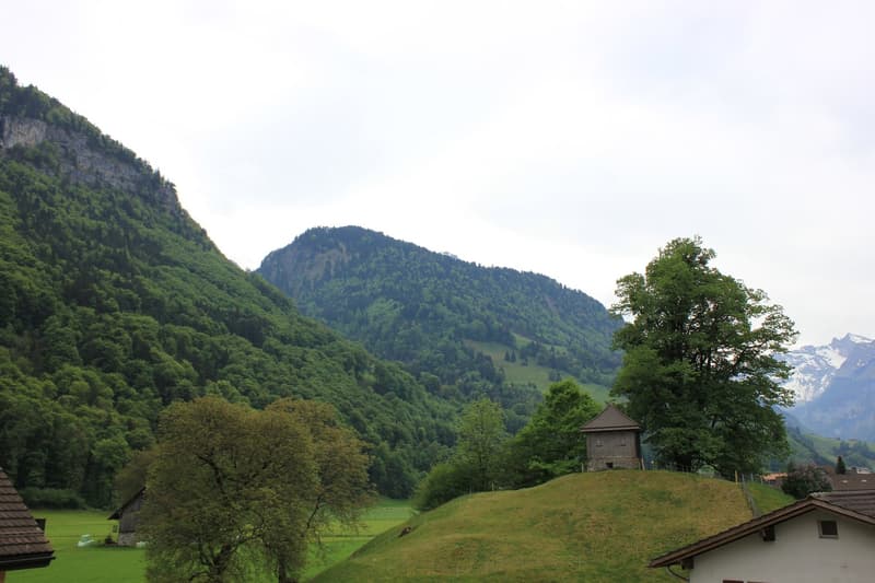Appartement magnifique dans le centre du village de Wolfenschiessen (20)