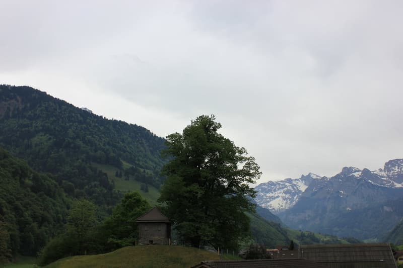 Appartement magnifique dans le centre du village de Wolfenschiessen (19)