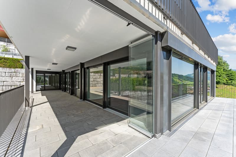 Appartamento di giardino 5,5 locali con vista sulle montagne di Nidwalden (22)
