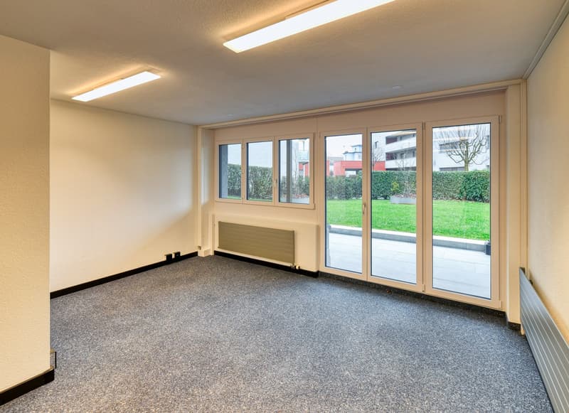 empty room, gray carpet, fluorescent lights, glass doors, outside grassy field