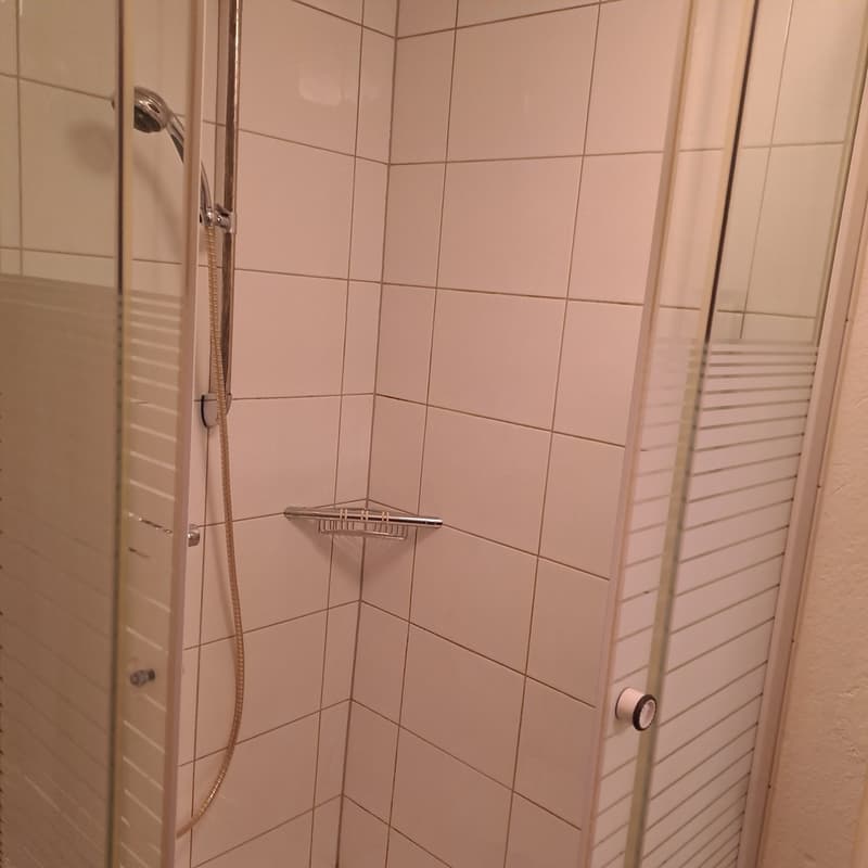 Enclosed shower area with glass door, tiled walls, shower head and metal shelf.