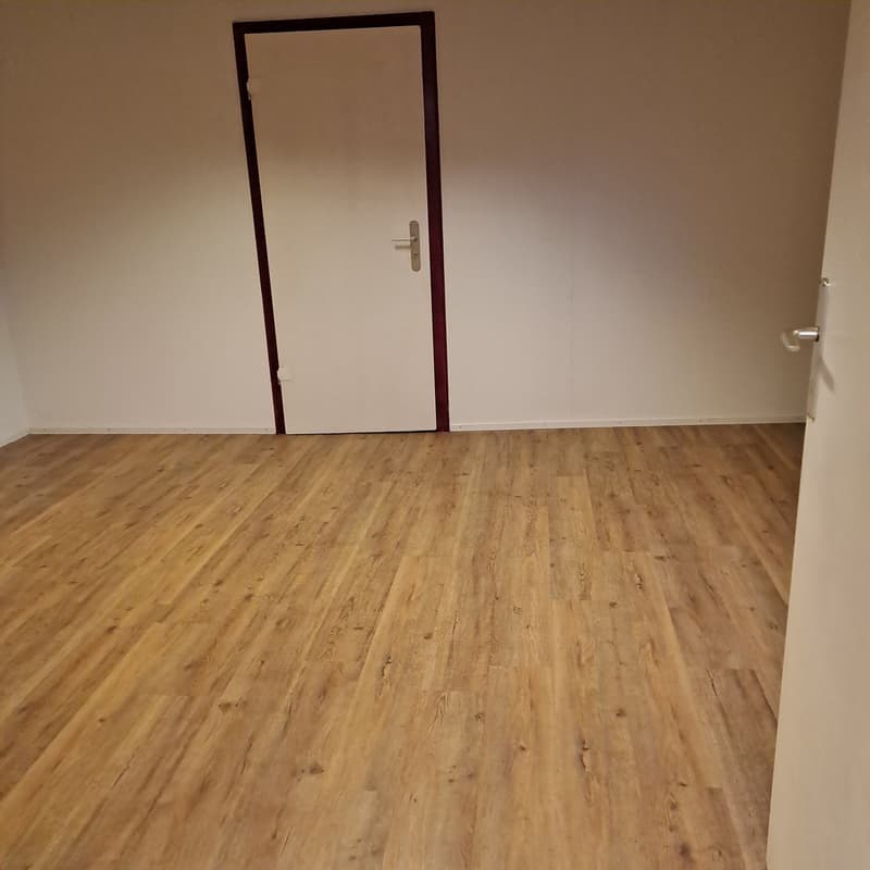 empty room, hardwood floors, white walls, closed door, small closet door