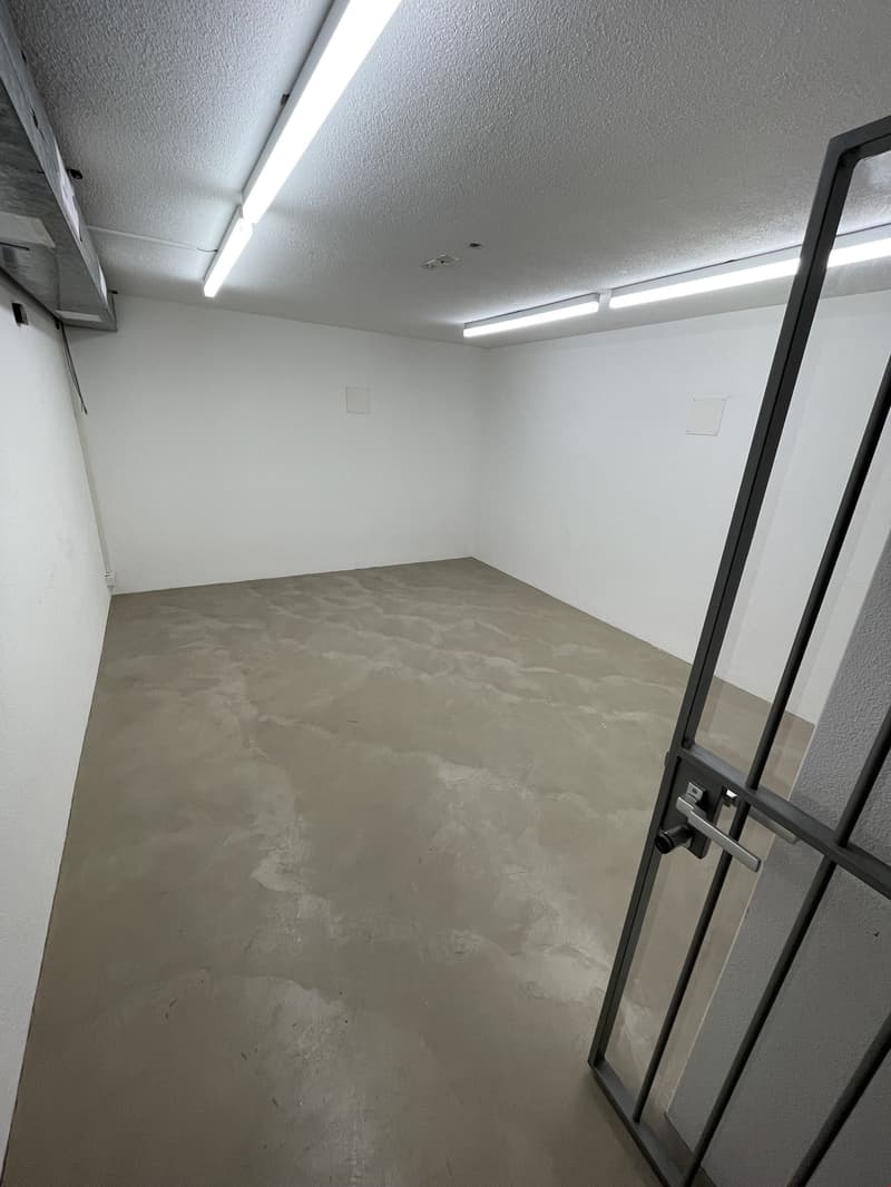 empty room with white walls, grey floor, metal door, ceiling lights