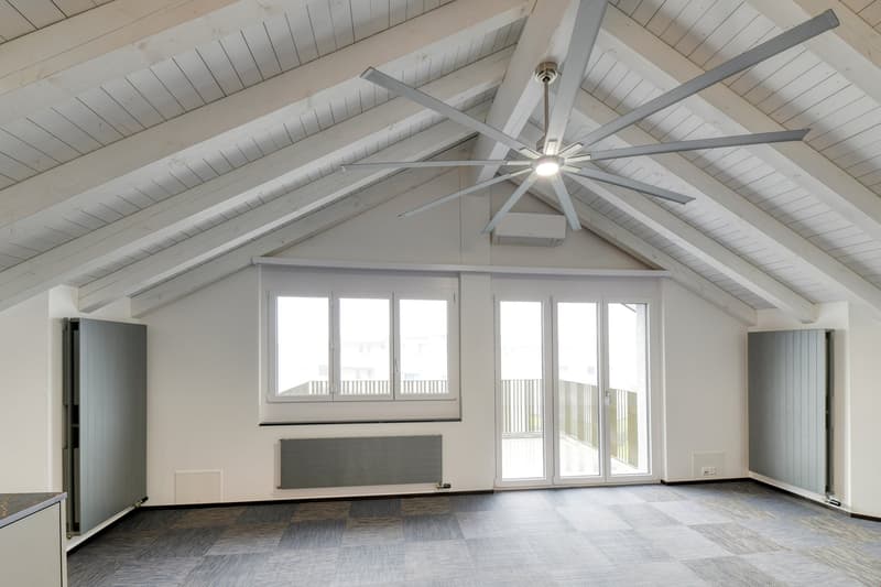White wooden ceiling, large ceiling fan, sliding glass door, gray radiators, large windows, parquet flooring.