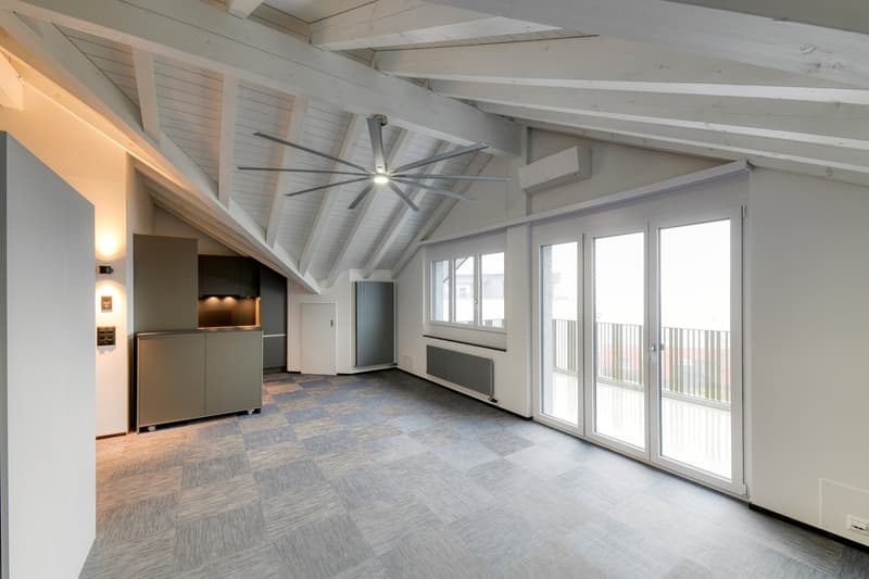 attic room, wooden ceiling, carpeted floor, sliding doors, balcony