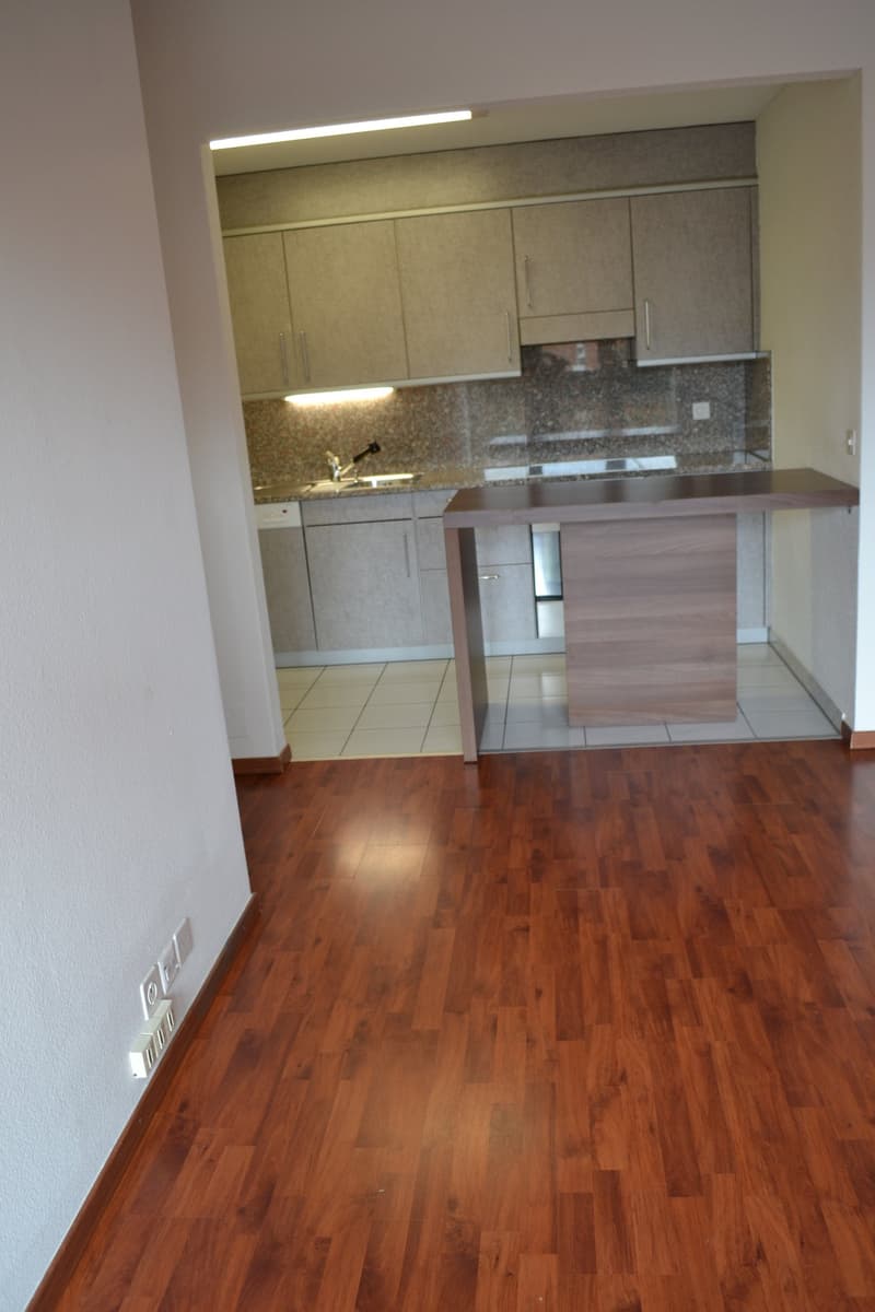 2-Zimmer-Dachwohnung mit Seesicht in Stansstad zu vermieten (3)