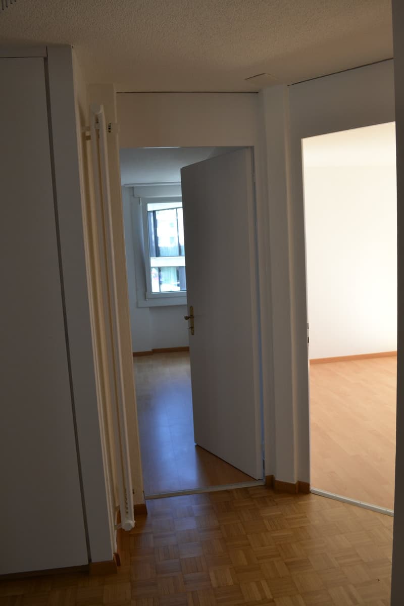 Appartement lumineux de 5 pièces avec balcon et proximité du lac dans le favorable Hergiswil (5)