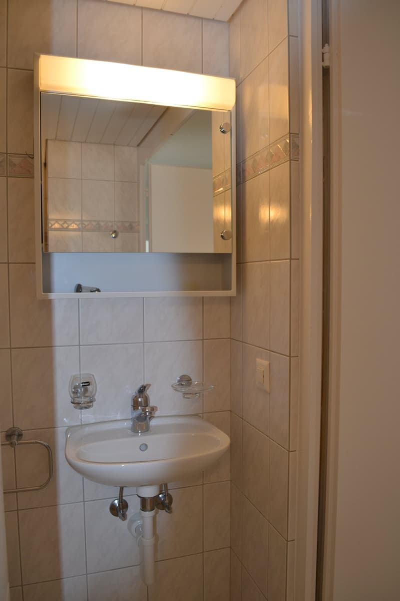 Appartement lumineux de 5 pièces avec balcon et proximité du lac dans le favorable Hergiswil (12)