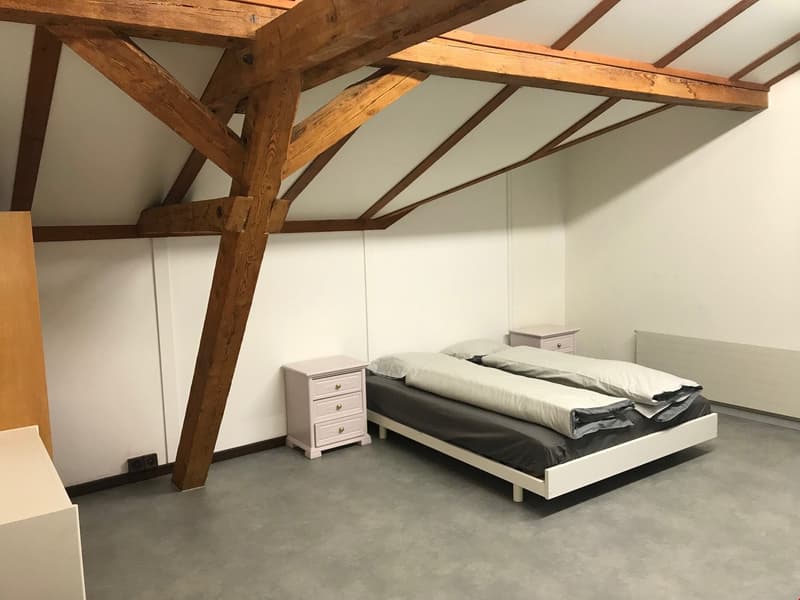 Large partially furnished room for rent in the center of Altdorf (2)
