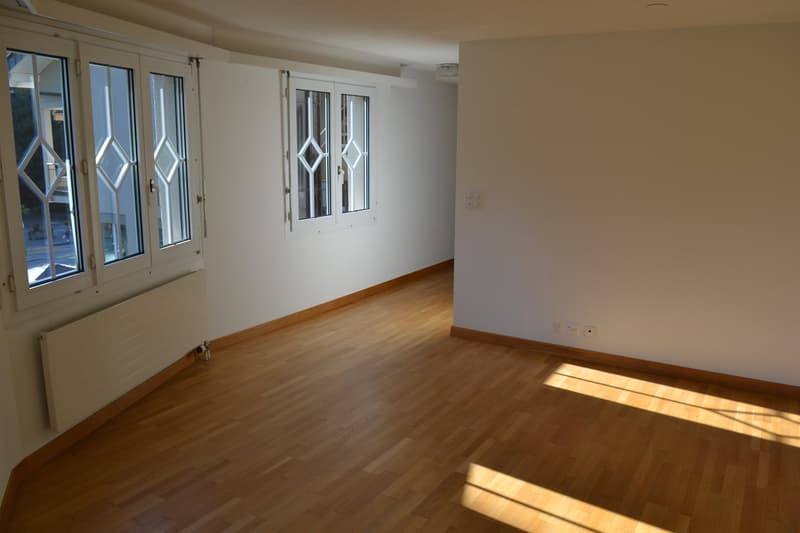 Charmante, sonnige u. helle 3 Zi. Whg. mit Wintergarten zu vermieten (4)