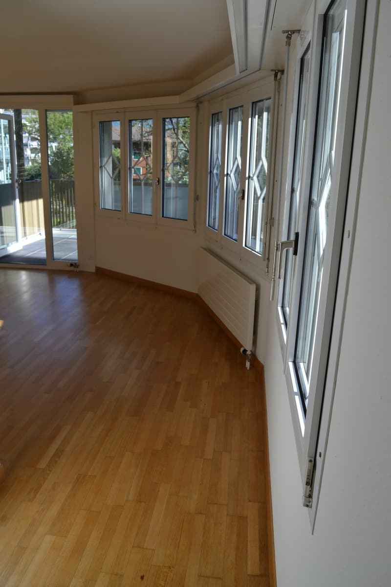 Charmante, sonnige u. helle 3 Zi. Whg. mit Wintergarten zu vermieten (12)