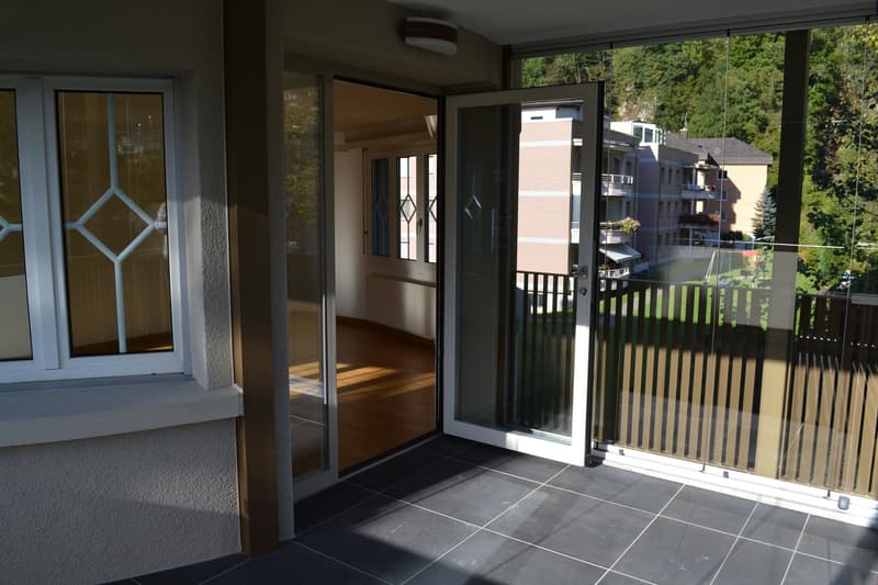 Charmante, sonnige u. helle 3 Zi. Whg. mit Wintergarten zu vermieten (16)