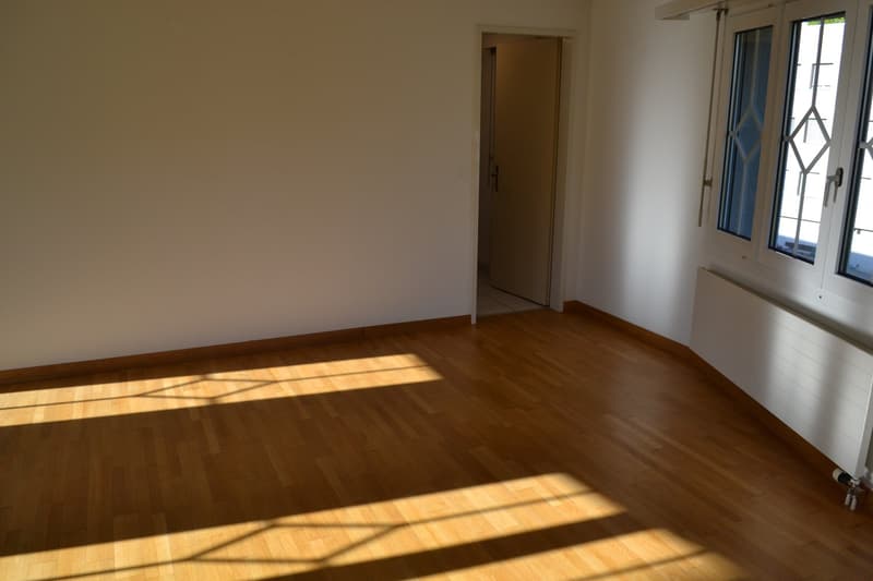 Charmante, sonnige u. helle 3 Zi. Whg. mit Wintergarten zu vermieten (5)