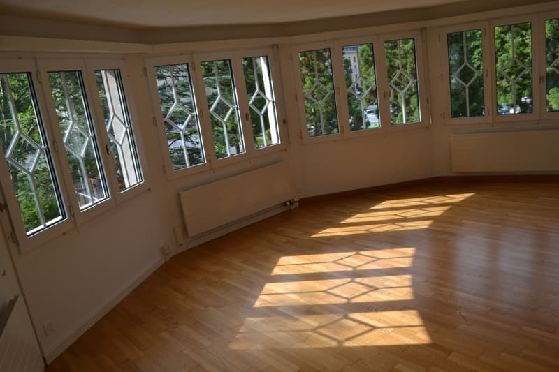Charmante, sonnige u. helle 3 Zi. Whg. mit Wintergarten zu vermieten (13)