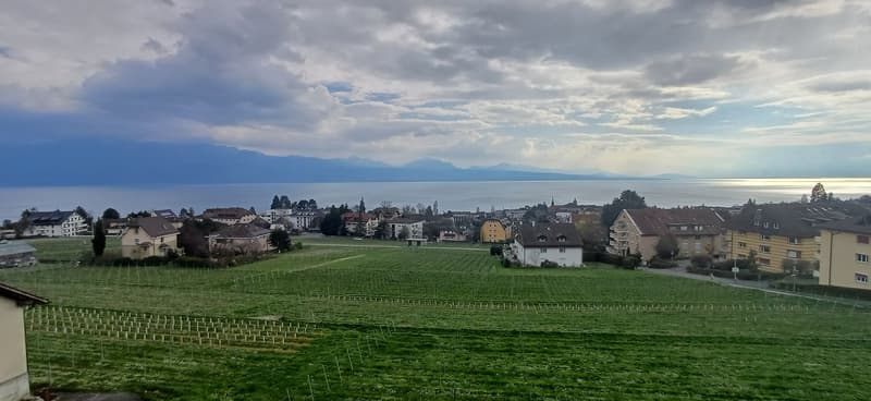 Green field, houses, mountains, sea, cloudy sky