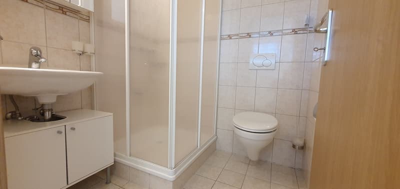 Bathroom with a sink, shower, and toilet