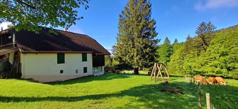Former holiday colony with panoramic views in Villard-sur-Chamby (2)