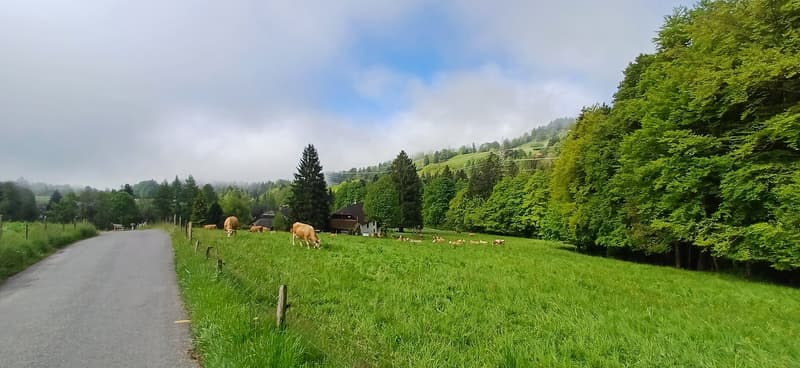 Former holiday colony with panoramic views in Villard-sur-Chamby (15)