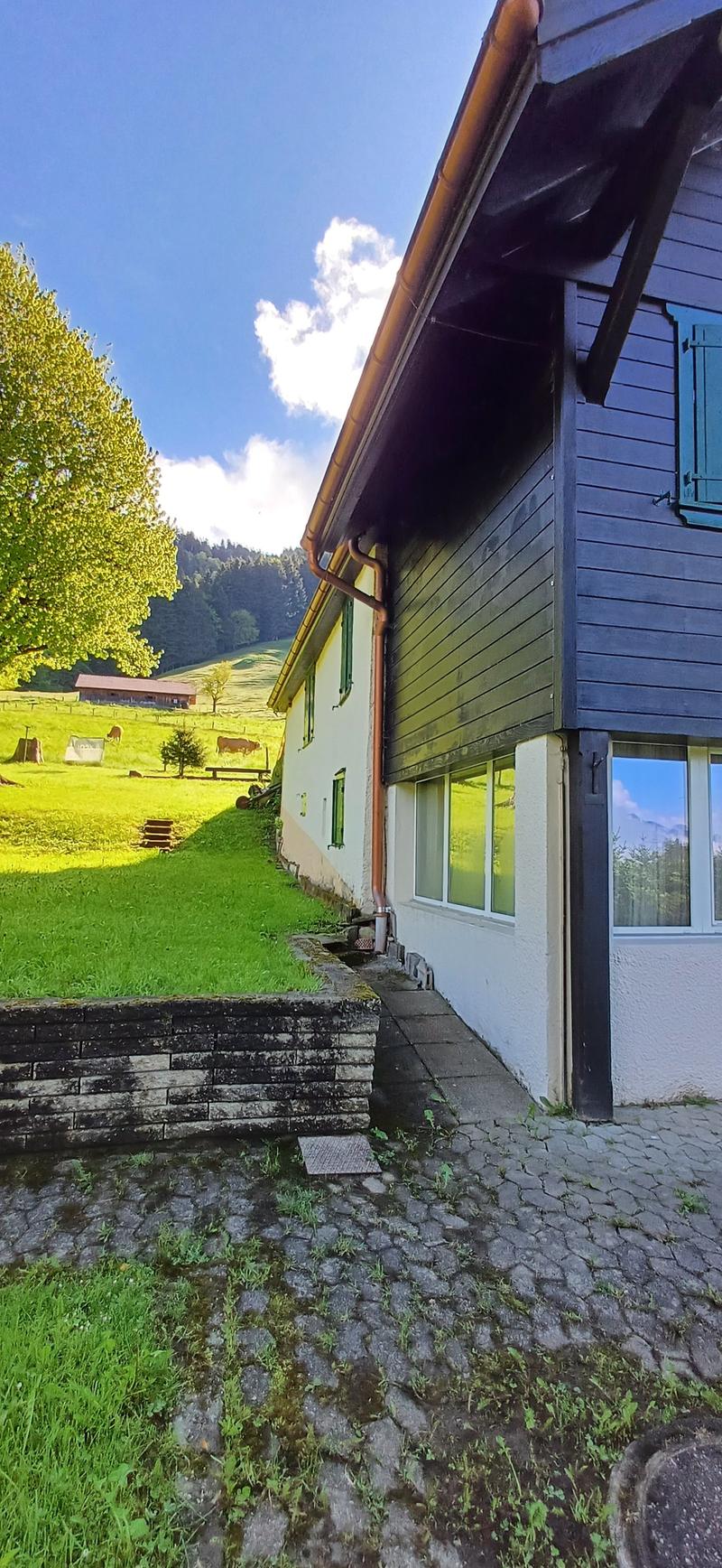 Former holiday colony with panoramic views in Villard-sur-Chamby (8)