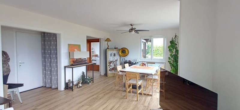Choëx,à vendre, chalet 2 appartements (12)