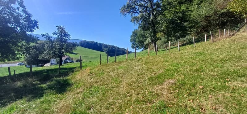 À 7 minutes de Fribourg, St-Ours ferme à rénover à vendre (3)