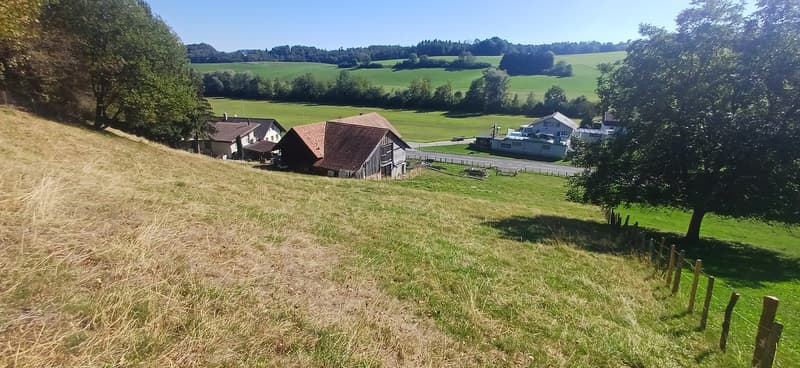 À 7 minutes de Fribourg, St-Ours ferme à rénover à vendre (10)