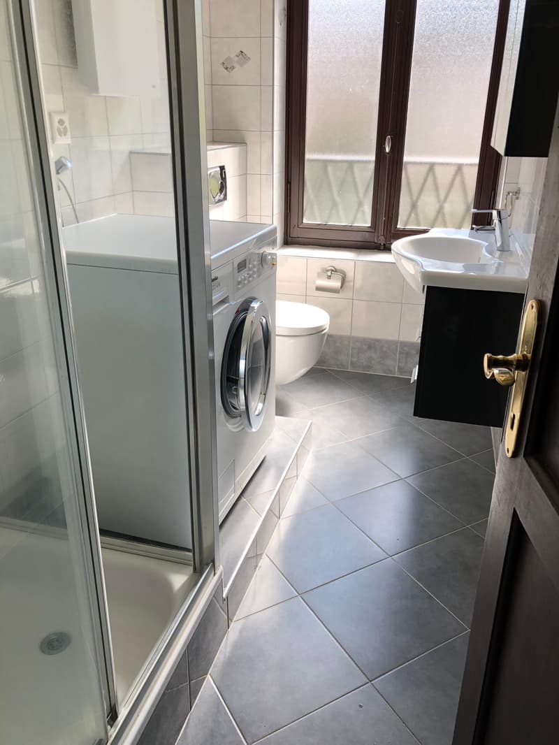 Appartement mansardé charmant de 6 pièces à Bellinzona – disponible immédiatement (4)