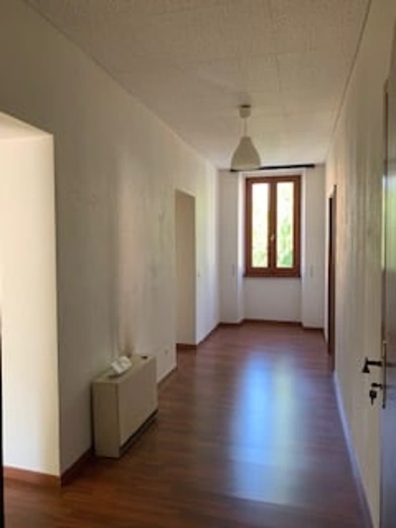 Appartement mansardé charmant de 6 pièces à Bellinzona – disponible immédiatement (7)
