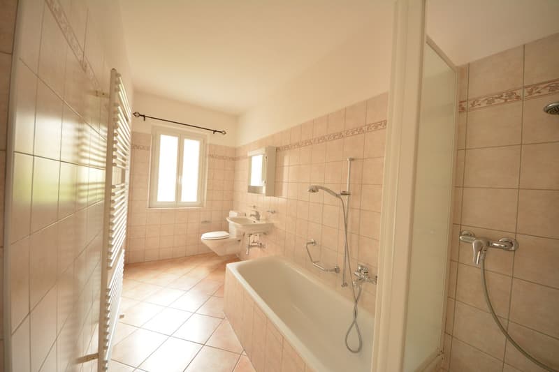 Maisonnette indépendante Noyau de Giubiasco jolie maisonnette (13)