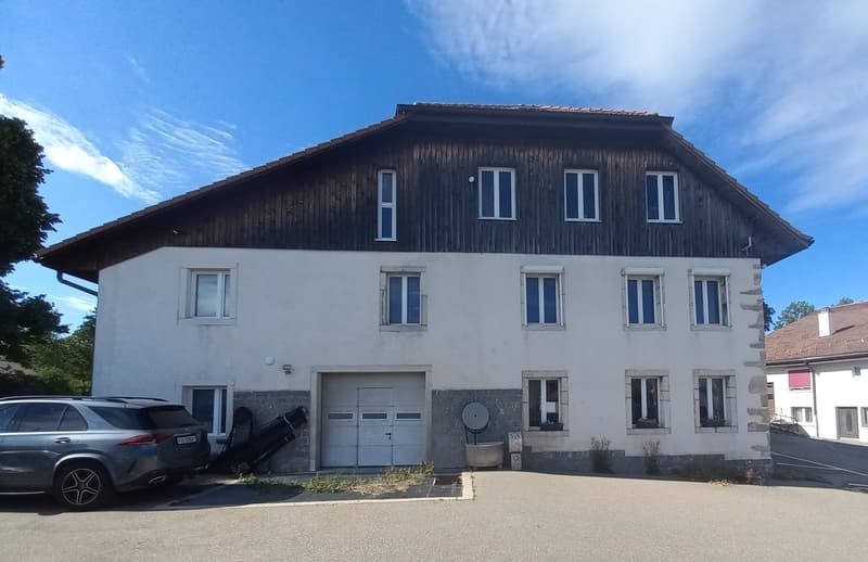 Immeuble d’habitation avec locaux commerciaux - Wohn-Geschäftshaus (1)