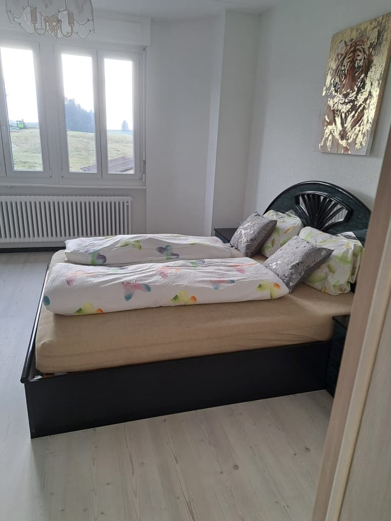 A vendre:  Maison avec magasin et deux appartements (9)